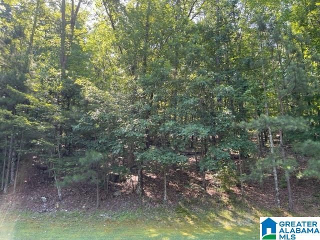 1118 GREYSTONE CREST DRIVE, Birmingham, AL 35242