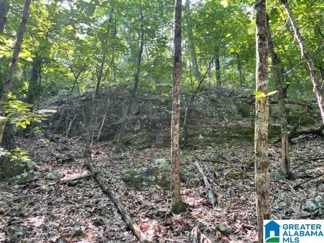 1118 GREYSTONE CREST DRIVE, Birmingham, AL 35242