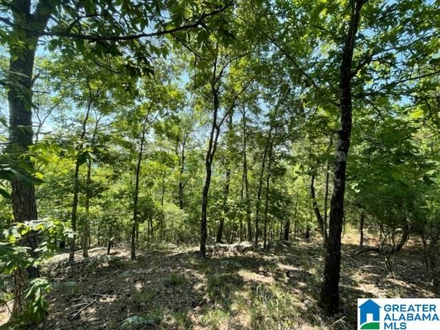 1118 GREYSTONE CREST DRIVE, Birmingham, AL 35242