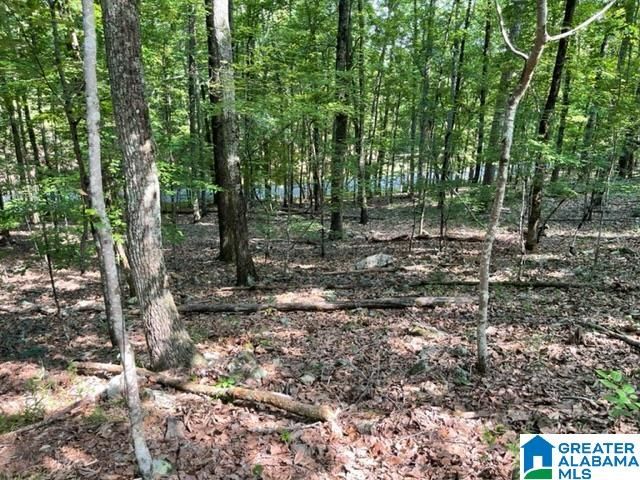 1118 GREYSTONE CREST DRIVE, Birmingham, AL 35242