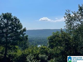 1118 GREYSTONE CREST DRIVE, Birmingham, AL 35242