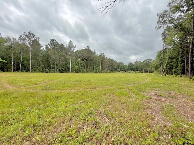 TBD NE Loop 304, Crockett, TX 75835