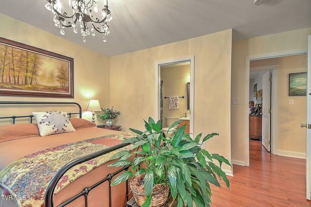 118 Lazy Lane, Gray, TN 37615