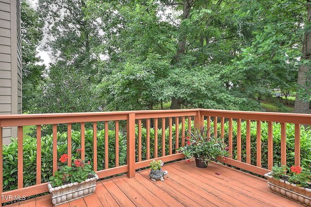 118 Lazy Lane, Gray, TN 37615