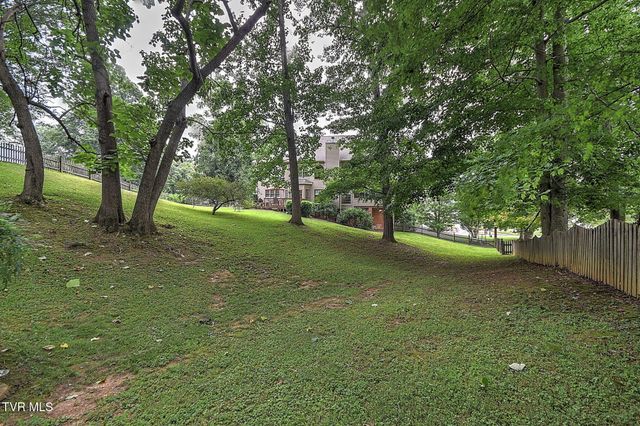 118 Lazy Lane, Gray, TN 37615