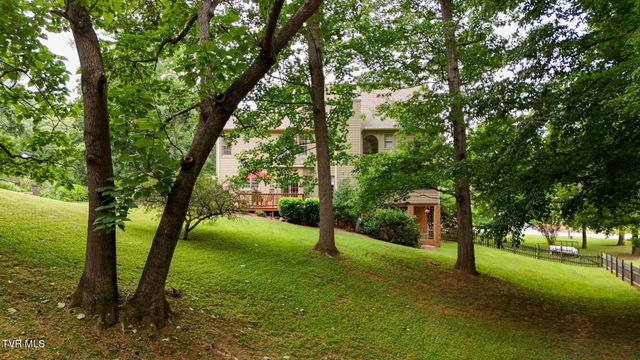 118 Lazy Lane, Gray, TN 37615
