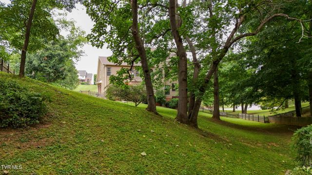118 Lazy Lane, Gray, TN 37615