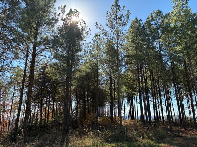 4690 Split Rail Way 1359, Guild, TN 37340