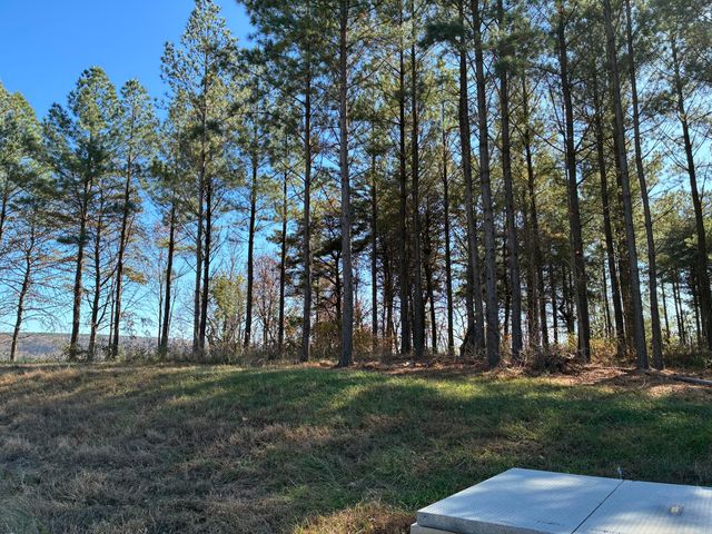 4690 Split Rail Way 1359, Guild, TN 37340