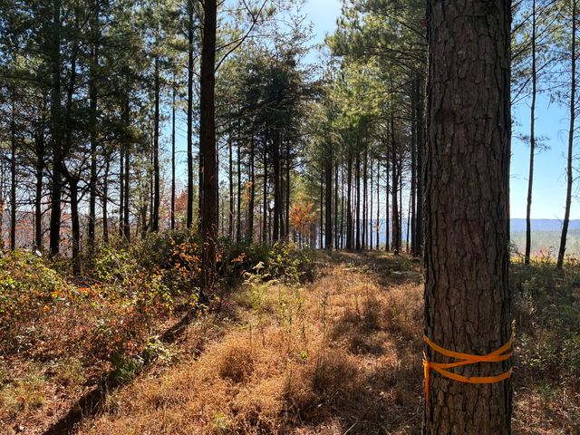 4690 Split Rail Way 1359, Guild, TN 37340