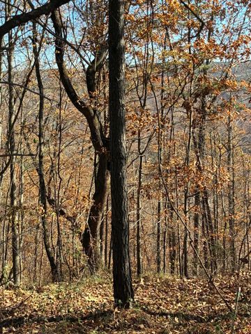 4690 Split Rail Way 1359, Guild, TN 37340