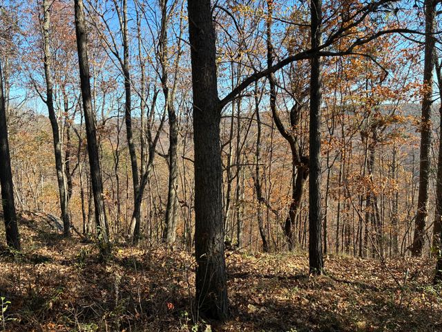 4690 Split Rail Way 1359, Guild, TN 37340