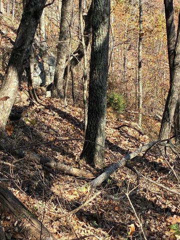 4690 Split Rail Way 1359, Guild, TN 37340