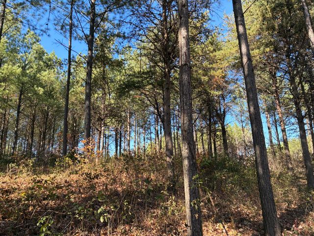 4690 Split Rail Way 1359, Guild, TN 37340