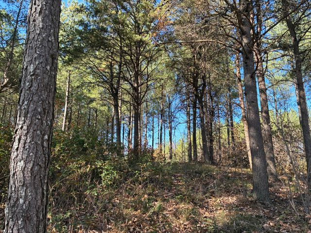 4690 Split Rail Way 1359, Guild, TN 37340