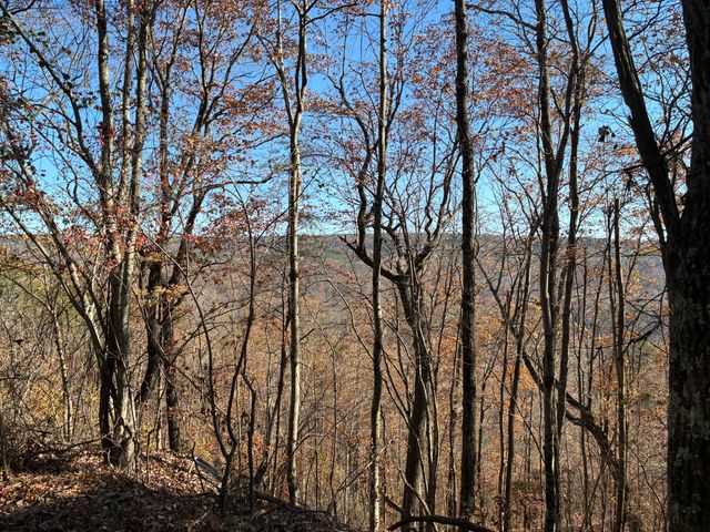 4690 Split Rail Way 1359, Guild, TN 37340