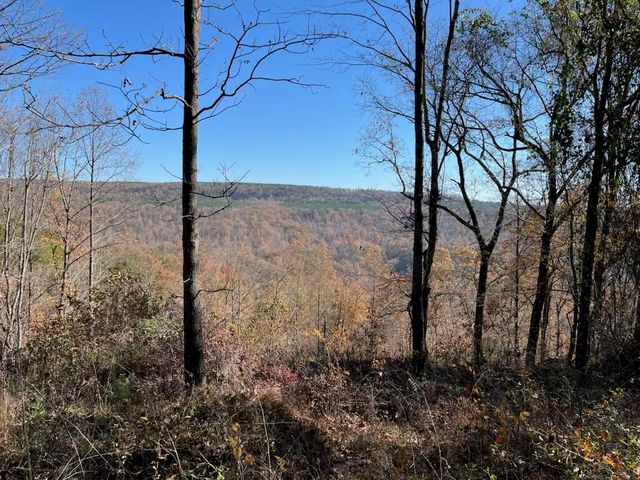 4690 Split Rail Way 1359, Guild, TN 37340