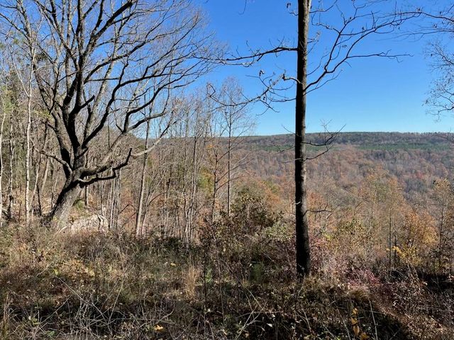 4690 Split Rail Way 1359, Guild, TN 37340