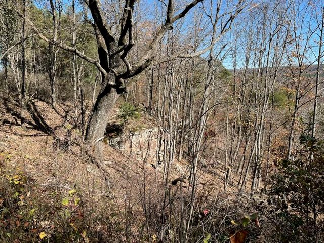 4690 Split Rail Way 1359, Guild, TN 37340