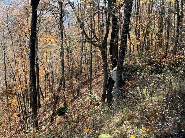 4690 Split Rail Way 1359, Guild, TN 37340