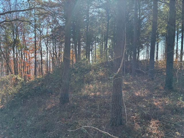 4690 Split Rail Way 1359, Guild, TN 37340