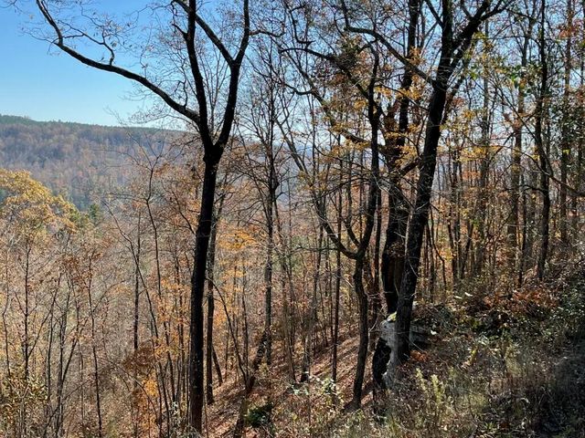 4690 Split Rail Way 1359, Guild, TN 37340