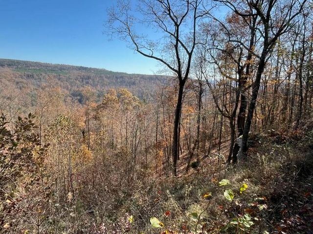 4690 Split Rail Way 1359, Guild, TN 37340