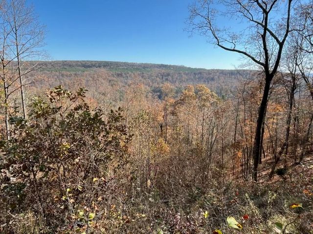 4690 Split Rail Way 1359, Guild, TN 37340