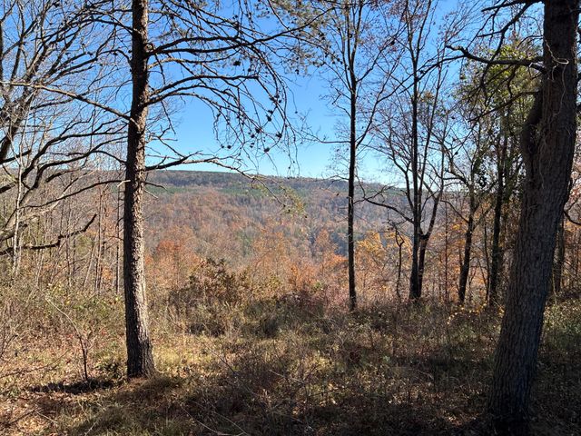 4690 Split Rail Way 1359, Guild, TN 37340