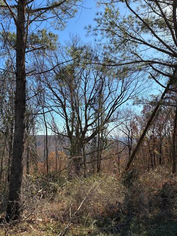 4690 Split Rail Way 1359, Guild, TN 37340