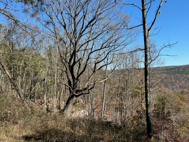 4690 Split Rail Way 1359, Guild, TN 37340