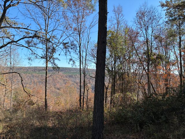 4690 Split Rail Way 1359, Guild, TN 37340