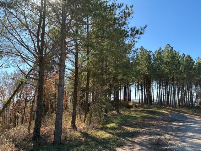 4690 Split Rail Way 1359, Guild, TN 37340