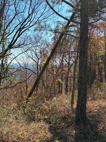 4690 Split Rail Way 1359, Guild, TN 37340