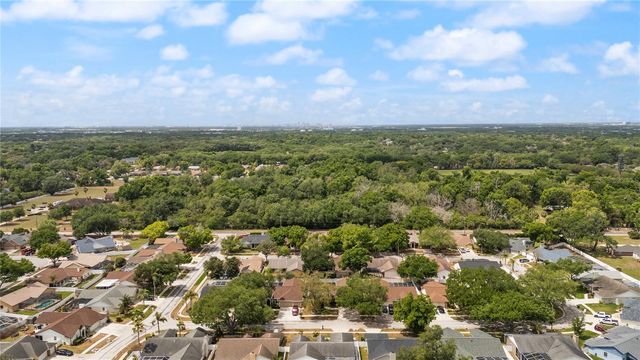 931 BALSAMINA DRIVE, Brandon, FL 33510