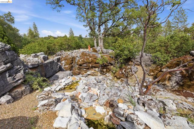 23195 Seminole Dr., Columbia, CA 95310