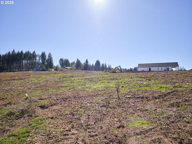 324 Dolan Rd, Castle Rock, WA 98611