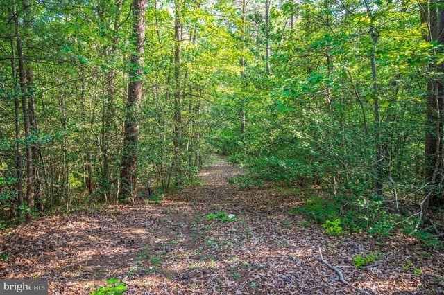 15295 TODD LN, Doswell, VA 23047