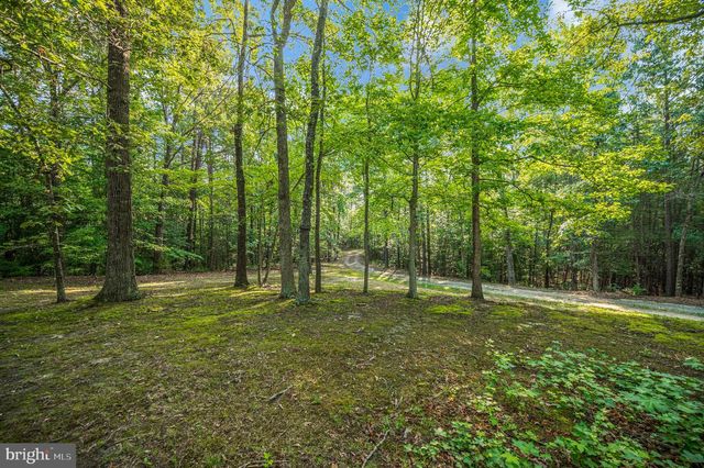 15295 TODD LN, Doswell, VA 23047