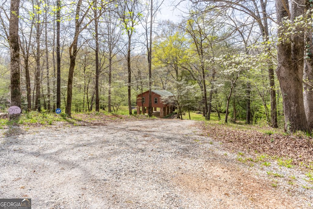 597 Meadow Brook Lane, Royston, GA 30662 — exterior