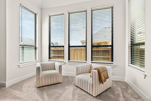 507 Caliban, Cibolo, TX 78108