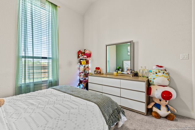 507 Caliban, Cibolo, TX 78108