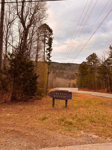 110 Lake Drive, Drasco, AR 72530