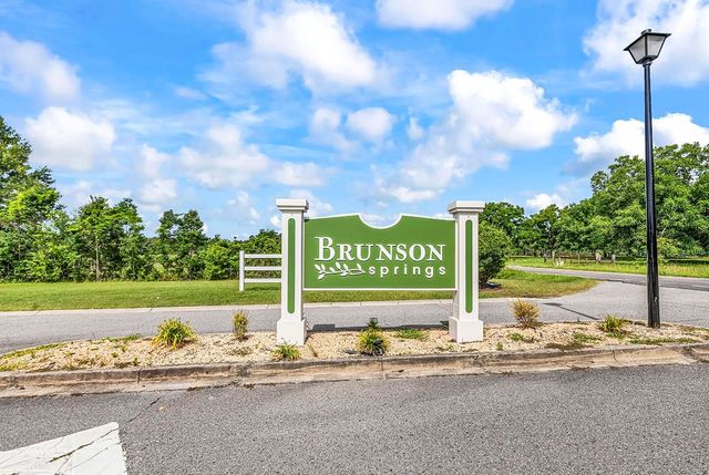 197 Penn Circle, Galivants Ferry, SC 29544