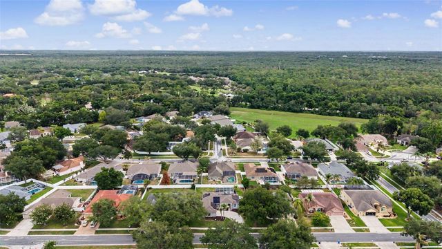 4021 LITHIA RIDGE BOULEVARD, Valrico, FL 33596