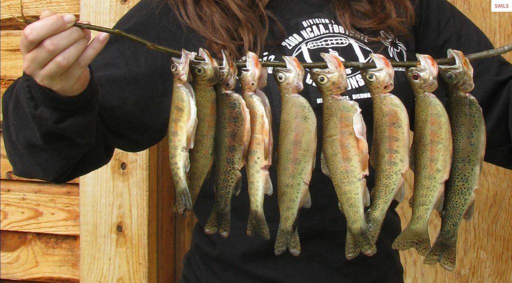 410 Poco Lobo Road, Troy, MT 59935 photo 10