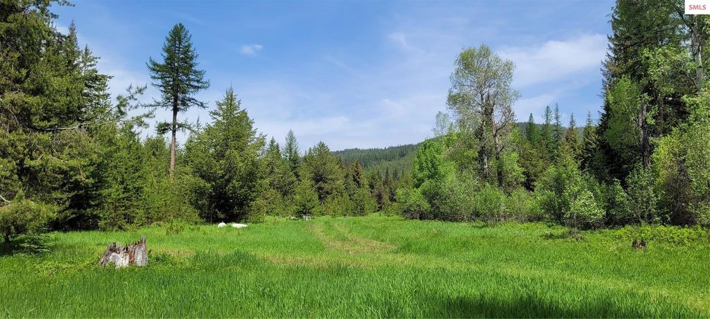 410 Poco Lobo Road, Troy, MT 59935 photo 11