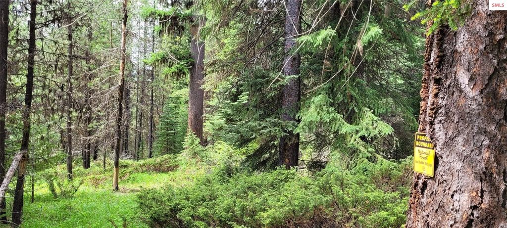 410 Poco Lobo Road, Troy, MT 59935 photo 12