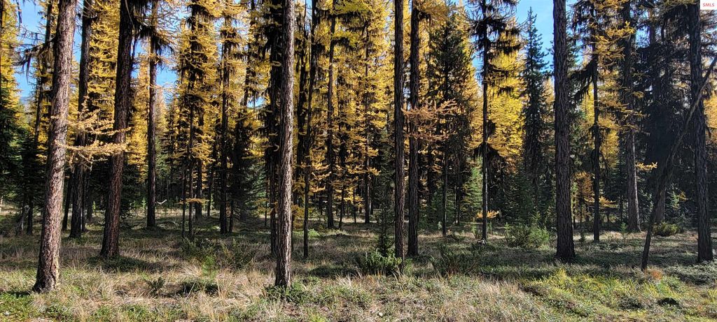 410 Poco Lobo Road, Troy, MT 59935 photo 14