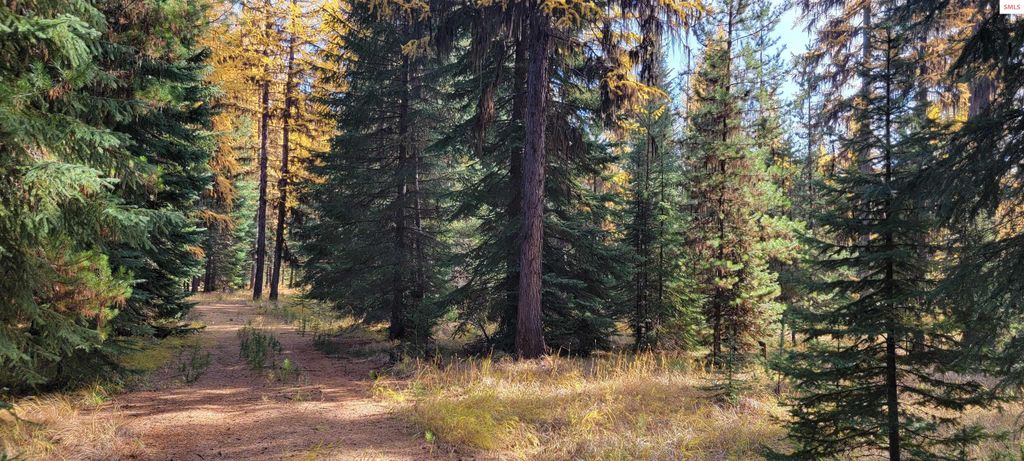 410 Poco Lobo Road, Troy, MT 59935 photo 15